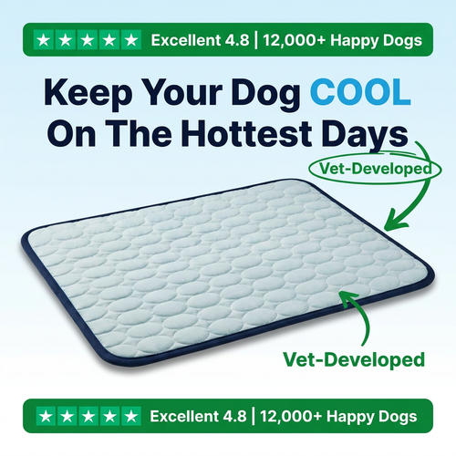 Excellent 4.8 stars, 12,000+ happy dogs, vet-developed